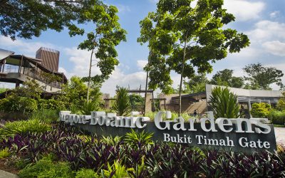 Embracing Environmental Planning: Building a Sustainable Future